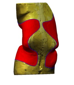 Busto-Porzio-snap-4